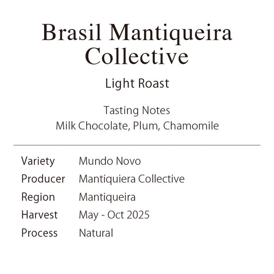 Brasil Mantiqueira Collective