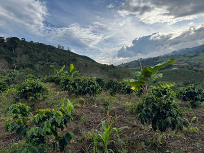 Colombia El Refugio