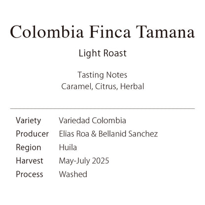 Colombia Finca Tamana（Variedad Colombia）