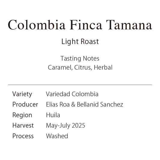 Colombia Finca Tamana（Variedad Colombia）