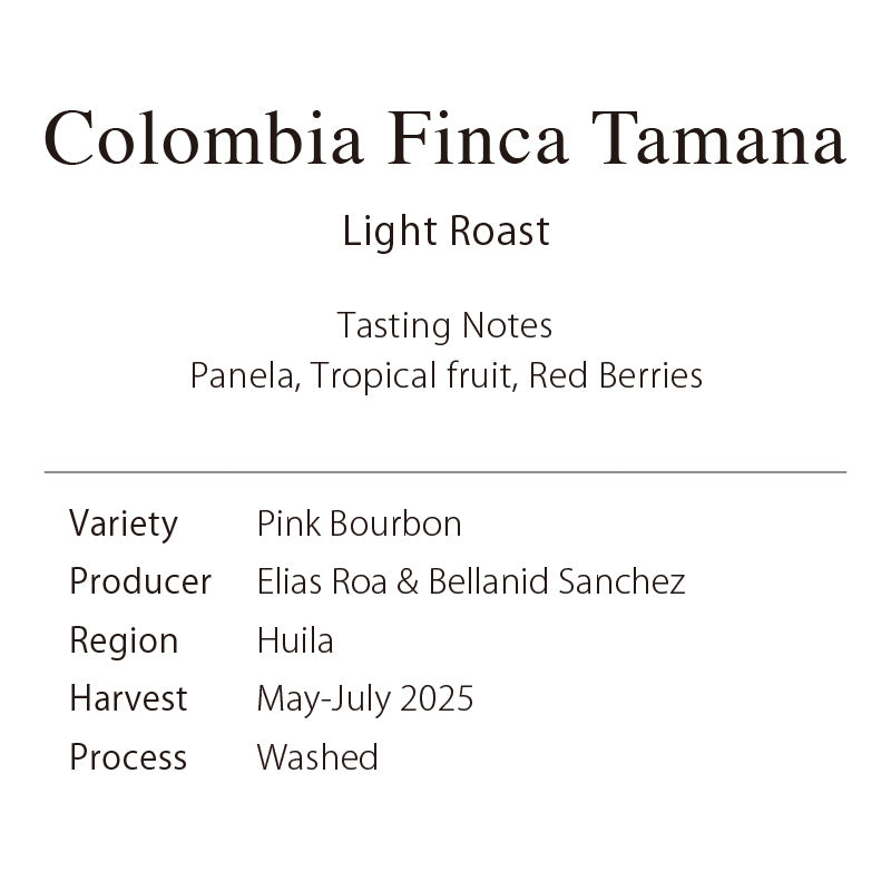 Colombia Finca Tamana（Pink Bourbon）